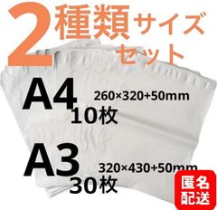 【匿名配送】LDPE宅配袋 宅配ビニール袋 A4 10枚　/A3 30枚テープ付き 透けない 梱包 資材 ２種類セット