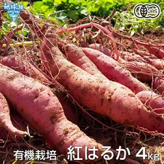 有機紅はるか 4kg 有機栽培 鹿児島県産 宮崎県産 1本100～500g 土付 さつまいも サツマイモ べにはるか 国産 有機JAS オーガニック 2025年産 令和7年産 発送期間8月～