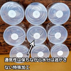 クワガタ幼虫専用　特大1600ml クリア空ボトル【6本セット】中がよく見えるクリアタイプで幼虫の成長や食痕がよく観察できます！通気性は保ちながら水分は逃がさない特殊加工！落としても割れません！　　　　発酵マット飼育や菌糸瓶の作成に最適なボトルです