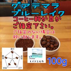 コーヒー粉or豆100g　ブルーレイク