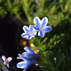 たろはな様専用ページ