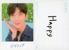 【中古】コレクションカード(男性) 117[ノーマルカード]：SEVENTEEN/JOSHUA(ジョシュア)/ノーマルカード/「SEVENTEEN 2019 JAPAN TOUR ’HARU’」トレーディングカード