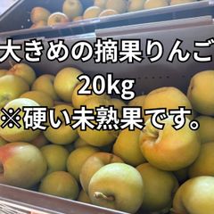 洋梨 プレコース 20キロ - メルカリ