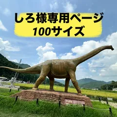 しろ様専用ページ‼️野菜詰め合わせセット‼️100サイズ