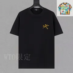 【今日WTO】Arcteryx アークテリクス 25ss プレミアムプリント T シャツ-NB79