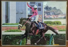 2025年最新】ナリタブライアン ジグソーの人気アイテム - メルカリ