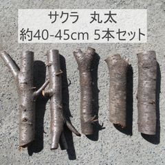 岐阜県産サクラ　丸太　約35-45cm 5本セット