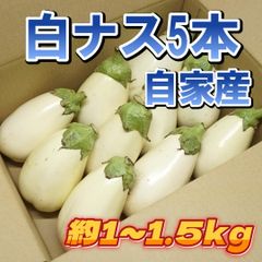 A-STYLE　自家産　白ナス　トルコナス5本　とろーり旨なす「ショップアカウントではゆうゆうメルカリ便で送れないため沖縄への発送は出来かねます、個人アカウントよりご購入頂けましたら発送可能ですので出品致しましたらそちらよりよろしくお願いいたします」