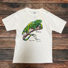 90's　イグアナ　半袖Tシャツ　シングルステッチ　XXLサイズ