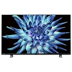 東芝 REGZA TV 4K液晶テレビ 43インチ 2023年製 43C350X 中古