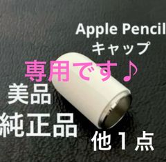 美品　Apple Pencil アップルペンシル純正品　第1世代＋充電アダプター Apple Pencil 充電コネクタ 第1世代 Lightningアダプタ メス