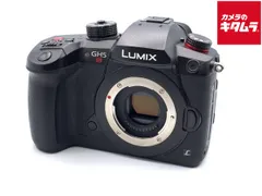 LUMIX DC-GH5S ボディ ショット数2,234回 WW4525 レンタル - Panasonic(パナソニック)LUMIX DC-GH5S ボディ