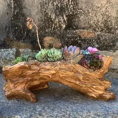 木の根っ子の切り株の置物、 昭和レトロ】木の根 置物 切り株 天然木 インテリアの通販 by 断