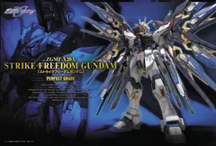 【未開封】PG ZGMF-X20A ストライクフリーダムガンダム 2025年最新】PG 1/60 ZGMF-X20A ストライクフリーダムガンダム