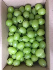 タロコタロ様専用　家庭用シャインマスカット　　12キロ粒