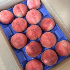 桃♡お届け期間七月下旬〜あかつき5キロ箱ギフト！贈答用！