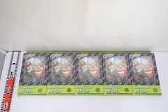 未開封 ポケモンカードゲーム スカーレット＆バイオレット コレクションファイルセット N エヌ 5点セット