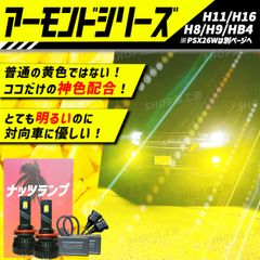 車 HB4 ライト フォグライト フォグランプ LED イエロー 黄色 ナッツ