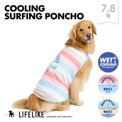 【COOLINGサーフィンポンチョ7-8号】ドッグウェア 大型犬 犬 服 春 夏 春夏 ポンチョ かわいい おしゃれ 犬の服 ペット服 犬服 ペット グッズ 洋服 ペット用品 抜け毛防止 暑さ対策 LIFELIKE［返品不可・サイズ交換可］