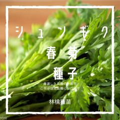 T16　家庭菜園でおすすめ品種　中葉春菊　シュンギク　固定種　野菜の種　貴重な累代自家採種！ここが他とは違います！