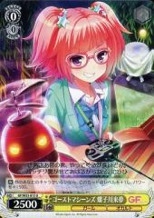[중고]바이스슈바르츠 GF/W33-015[U]:고스트 머신스 나코 카와래 꿈