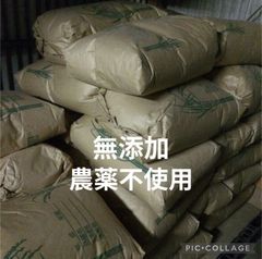 コシヒカリ 2kg 農薬不使用 玄米 新米 国産 農家直送 数量限定 無添加
