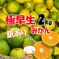 みかん出品 スーパーのみかん