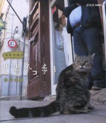 Item thumbnail for item 03e25ad2-d49d-4185-acd5-65ab21eedf5b