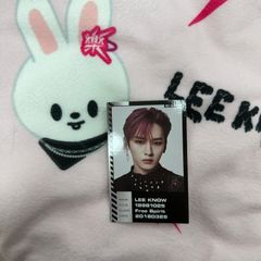 straykids リノ スキズ トレカ ODDINARY