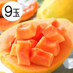 レッドパパイヤ 9玉 1玉約550g フィリピン産 パパイヤ ９玉