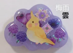 2025年最新】レジンインコアクセサリーの人気アイテム - メルカリ