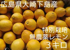 酸っぱいだけじゃない！甘味も感じる広島県大崎下島産 特別栽培レモン3キロ