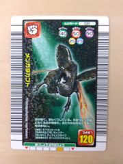 ムシキング2005年夏限定デザインカード6枚セット - メルカリ