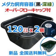 メダカ飼育ケース 120㍑x1個 黒/濃緑指定可 オーバーフロー付 金魚飼育容器 新タイプ】メダカ飼育ケース 120㍑x1個 黒/濃緑選択可 金魚