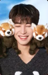 【中古】コレクションカード(男性) SEVENTEEN/WONWOO(ウォヌ)/裏面ピンク・印刷サイン入り/「DICON D’FESTA MINI EDITION SEVENTEEN」フォトカード