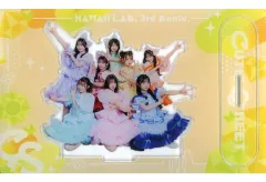 2026年最新】アクリルパネル キューティーストリートの人気アイテム