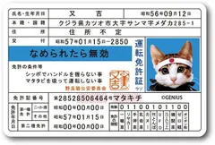 2024年最新】なめ猫免許証の人気アイテム - メルカリ