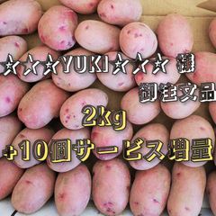 家庭菜園 向きのジャガイモ　レッドムーン 　種芋 として切らずに使える最適ｻｲｽﾞ　2kg + 10個増量