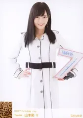 生写真(AKB48・SKE48)/アイドル/NMB48 4 ： 山本彩/2018 January