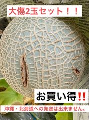【先着10箱限定】「大傷」2玉箱入り高糖度マスクメロン