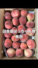 田舎屋はっちゃん様専用ページ（果物）＊傷あり - メルカリ