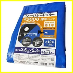 2023年最新】ブルーシート 3000 12m×12mの人気アイテム - メルカリ