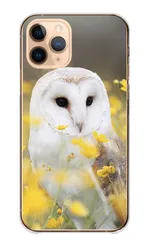 arrows We2 Plus F-51E M06 ケース カバー アローズWe2プラス スマホケース ハードケース フクロウ 梟 鳥 鳥類 ミミズク シマフクロウ シロフクロウ メンフクロウ 写真 可愛い かわいい カラー06
