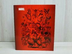 MARVEL FACT FILES 専用バインダー 2冊セット - メルカリ
