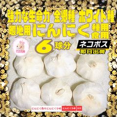 6球分　金郷種　最強かも？　食用兼用　バラシて即出荷　にんにくひめ　にんにく