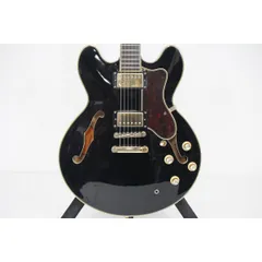 2024年最新】Epiphone SHERATONの人気アイテム - メルカリ