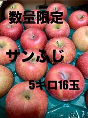 秋田県産りんご　サンふじ　5キロ16玉