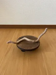 2026年最新】木の根 オブジェの人気アイテム - メルカリ