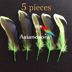 ◾️⭐︎【CF黄緑】鴨 鳥の羽根  カモ フェザー 素材 パーツ ドリームキャッチャー