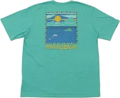 patagonia - 新品 限定 パタゴニア サミットパック summit pack バックパック 40周年記念モデル サミットパック | アウトドア用品・アウトドア